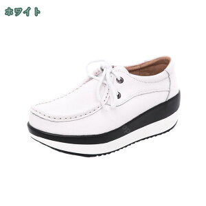 1650~OFFN[| [t@[ Xb| V[Y fB[X JWAV[Y y EH[LOV[Y ₷ Ȃ V[Y ɂȂ   킢 hC
