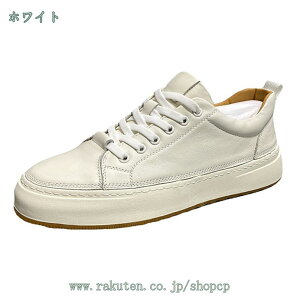 1000~OFFN[| [Jbg Xj[J[ Y ʊw ʋ w X|[cV[Y y L fbLV[Y ~ RtH[g WjA t  H ~ ʋC AEghA _炩 ᔽ