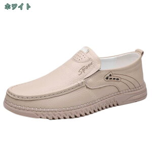 1650~OFFN[| [t@[ X[X hCrO Xb| V[Y Y JWA V[Y JV C ₷ hCrOV[Y [Jbg傫TCY ubN F
