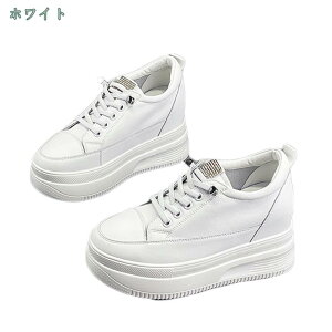 1000~OFFN[| C fB[X  [XAbv [X [t@[ Xj[J[ [XAbv Cq[ ̌C zCg V[NbgV[Y ďHt w ʊwC ł JW