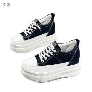 2000~OFFN[| [XAbv  fB[X Xj[J[ EhgE [Jbg TChSA EFbW\[ [X ʋC Cq[ JWA ₷ s ʊw ʋ Eh