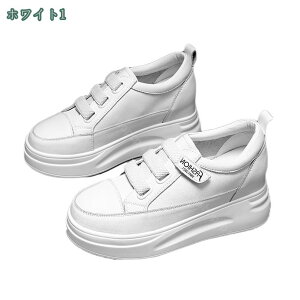 1000~OFFN[| Xj[J[ fB[X Xj[J[ q[Xj[J[ fB[XXj[J[  r EH[LOV[Y V[Y [XAbv 8cm q[Abv y 