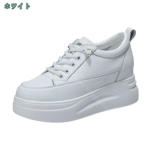 1000~OFFN[| Xj[J[ fB[X Cq[Xj[J[ EH[LOV[Y r V[NbgV[Y y V[Y [XAbv 8cm V[NbgXj[J[ q[A