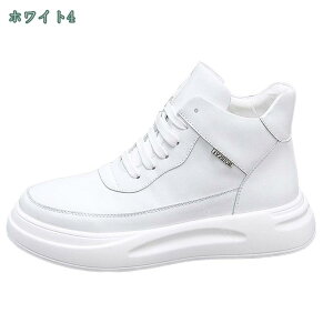 1000~OFFN[| Xj[J[ JWAV[Y Y    y ʋC ~ JbRCC ʋ ʊw i x d Vv Ȃ [Jbg 킹₷ Z 