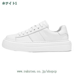 Xj[J[ JWAV[Y Y    y ʋC ~ JbRCC ʋ ʊw i x d Vv Ȃ [Jbg 킹₷ Z l ₷ 