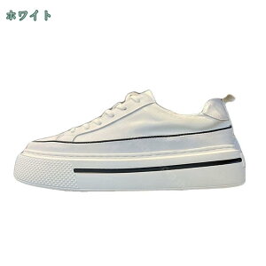 300~OFFN[| Xj[J[ Y fUC V[Y  \[   JWA EH[LO WMO jO ʋ ʊw YC [XAbv 傫TCY 