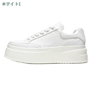 V[Y Y C [XAbvV[Y  Xj[J[ [Jbg RtH[g JWAV[Y y ʋC ~ ₷ EH[LO V[Y jp amC 