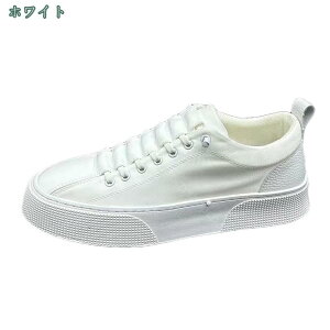 1650~OFFN[| Xj[J[ fB[X  jq w C V[Y y lC jp ʋ ʊw JWA o ʋC EH[LOV[Y  ɂ ₷  傫