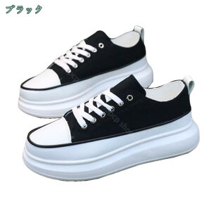 777~OFFN[| Xj[J[ Y fUC V[Y  \[   JWA EH[LO WMO jO ʋ ʊw YC [XAbv 傫TCY 