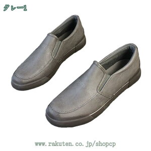 500~OFFN[| Xj[J[ fB[X  jq w C V[Y y lC jp ʋ ʊw JWA o ʋC EH[LOV[Y  ɂ ₷  傫