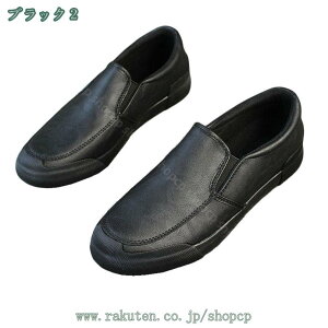 300~OFFN[| Xj[J[ fB[X  jq w C V[Y y lC jp ʋ ʊw JWA o ʋC EH[LOV[Y  ɂ ₷  傫