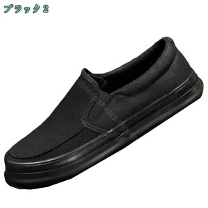 500~OFFN[| Xj[J[ fB[X  jq w C V[Y y lC jp ʋ ʊw JWA o ʋC EH[LOV[Y  ɂ ₷  傫