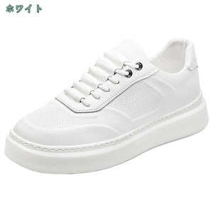 1000~OFFN[| Y Xj[J[  [Jbg V[Y JWA  X|[c ₷ ₷ x[VbN j C  fbLV[Y n Vv  