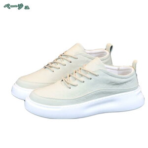 300~OFFN[| [Jbg Xj[J[ Y ʊw ʋ w X|[cV[Y y L fbLV[Y ~ RtH[g WjA t  H ~ ʋC AEghA _炩 ᔽ 