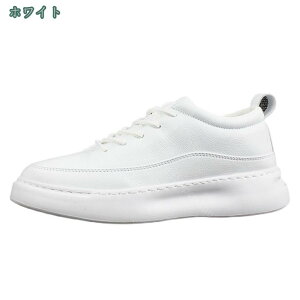 [Jbg Xj[J[ Y ʊw ʋ w X|[cV[Y y L fbLV[Y ~ RtH[g WjA t  H ~ ʋC AEghA _炩 ᔽ ₷ JW