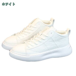 Y C y Xj[J[ ~  [XAbv JWAV[Y [Jbg RtH[gV[Y ʋC n ɂ @\ ϖ 傫TCY EH[LOV[Y