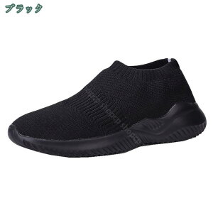 500~OFFN[| Xj[J[ fB[X  jq w C V[Y y lC jp ʋ ʊw JWA o ʋC EH[LOV[Y  ɂ ₷  傫