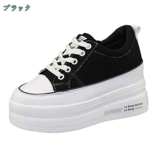 777~OFFN[|  Xj[J[ Ȃ Xj[J[ fB[X q[10cm q[Xj[J[ C 킢  L b JWAV[Y ₷ ҂ݏグ C s 