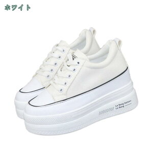 800~OFFN[|  Xj[J[ Ȃ Xj[J[ fB[X q[10cm q[Xj[J[ C 킢  L b JWAV[Y ₷ ҂ݏグ C s 