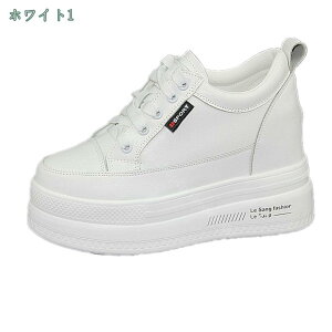 300~OFFN[| JWAV[Y fB[X Xj[J[ RtH[gV[Y C EH[LOV[Y ʋC y ₷  10cmq[ ʊwC ʋΌC JWA bN