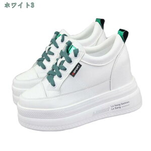 800~OFFN[| JWAV[Y fB[X Xj[J[ RtH[gV[Y C EH[LOV[Y ʋC y ₷  10cmq[ ʊwC ʋΌC JWA bN
