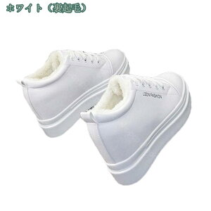 300~OFFN[| fB[X Cq[Xj[J[ Xj[J[ V[NbgV[Y r fB[XXj[J[  V[Y C [XAbv q[Abv 10cm y 