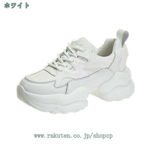 777~OFFN[| Xj[J[ C fB[X ʋC  C JWAV[Y RtH[g tbg JWA y ₷ ~ 킢 ꂢ EH[LO tďH~ 