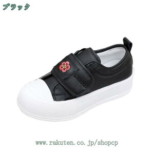 777~OFFN[| Xj[J[ C fB[X ʋC  C JWAV[Y RtH[g tbg JWA y ₷ ~ 킢 ꂢ EH[LO tďH~ 