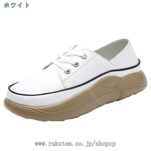 500~OFFN[| ʋCXj[J[ fB[X 傫TCY TCY ₷ JWA ig Vv ɂ r r EH[LOV[Y EH[LOV[Y q 