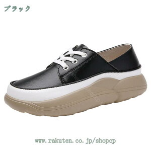 500~OFFN[| ʋCXj[J[ fB[X 傫TCY TCY ₷ JWA ig Vv ɂ r r EH[LOV[Y EH[LOV[Y q 