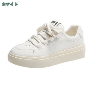 500~OFFN[|  Xj[J[ r fbLV[Y n Xj[J[ [XAbv JWA V[Y y Vv tďHp [Jbg tbgV[Y ؂ o U 