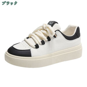 500~OFFN[|  Xj[J[ r fbLV[Y n Xj[J[ [XAbv JWA V[Y y Vv tďHp [Jbg tbgV[Y ؂ o U 