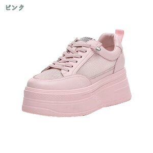 300~OFFN[| fB[XXj[J[ 傫TCY  C\[ gAbv 8cmq[ JWAV[Y fB[XXj[J[ V[Y  n Xj[J[V[Nbg JW