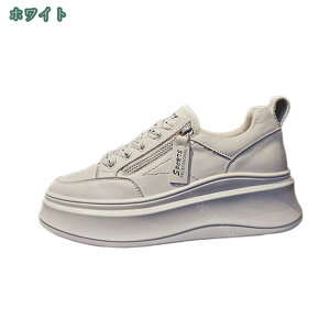 777~OFFN[| Xj[J[ x[VbN fB[X t@bV ʋC ₷ wlC ؍ r Ȃ  AEghA n IV ₷  w ʊwC O