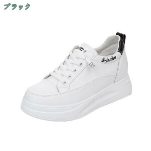 Xj[J[ fB[X y ̎q 傫TCY TCY ₷ y EH[LO ₷ ʋC Vv x[VbN JWA ʊw ʋ d Ȃ ꂢ [J