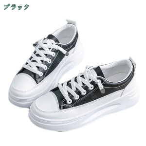 fB[X  [XAbv Xj[J[ y Ղ fbLV[Y JWA r Vv ʋ ʊw ₷ ₷ RtH[g  Ȃ ɂ o