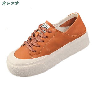  Xj[J[ fB[X V[Y EH[LOV[Y Xj[J[ y ₷ Ȃ C h  r 傫TCY tbgV[Y JWA [XAbv