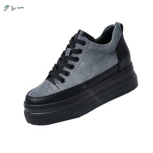 1650~OFFN[| Xj[J[ fB[X Xj[J[ fB[XXj[J[  r ₷ E ʋ ʊw V[Y [XAbv 7cmgAbv q[Abv y ɂ