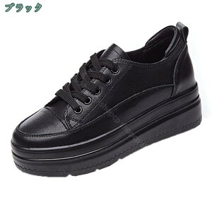 1650~OFFN[|  Xj[J[ ʋCXj[J[ ₷ fB[X [Jbg K [XAbv Vv  r ׌ ₷ Ȃ d ʊw ʋ RC AE