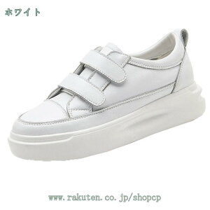 Xj[J[ fB[X  jOV[Y 傫TCY  y JWA [XAbv [JbgXj[J[ ₷ ꂢ  EH[LO JWAV[Y 