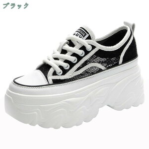 Xj[J[ fB[X yʃ\[ 傫TCY TCY ₷ ^ EH[LO jO ʋC Vv x[VbN JWA W  L y Ȃ ꂢ ̈