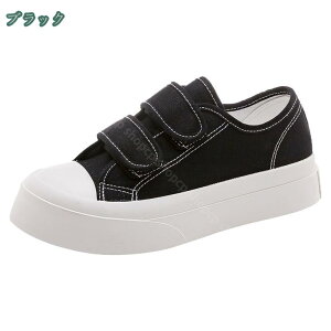 300~OFFN[| fB[X JWA Xj[J[ ₷ X|[cV[Y p AEghA y ʋC ^C W EH[LO RtH[gV[Y ʊw ʋ RtH[g 