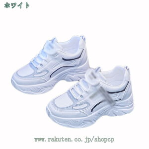 500~OFFN[| fB[X JWA Xj[J[ ₷ X|[cV[Y p AEghA y ʋC ^C W EH[LO RtH[gV[Y ʊw ʋ RtH[g 