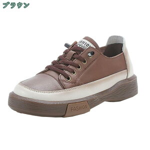 1000~OFFN[| Xj[J[ fB[X 傫TCY TCY ₷ ɂ  JWA  _炩 JWAV[Y wC ʊw Vv 킢 IV