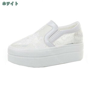 Xj[J[ fB[X 傫TCY TCY ₷ ɂ  JWA  _炩 JWAV[Y wC ʊw Vv 킢 IV U RtH