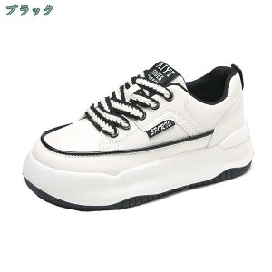 500~OFFN[| Xj[J[ fB[X yʃ\[ 傫TCY TCY ₷ ^ EH[LO jO ʋC Vv x[VbN JWA W  L y 