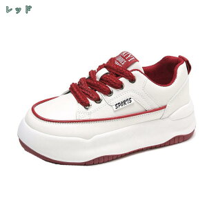 500~OFFN[| Xj[J[ fB[X yʃ\[ 傫TCY TCY ₷ ^ EH[LO jO ʋC Vv x[VbN JWA W  L y 