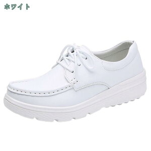  Xj[J[ fB[X V[Y C y ₷ ɂ r g  EH[LO IV s d ₷ ʊw y ʋC ɂ ɂȂ V[Y V