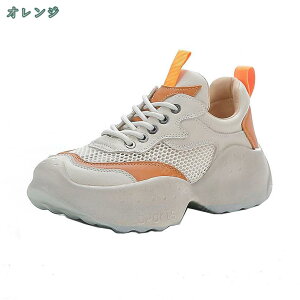 3500~OFFN[| fB[X EhgD n JWAV[Y Xj[J[ ɂȂ ₷ 傫TCY TCY Xj[J[ [XAbv [q[  L fb
