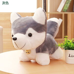 500~OFFN[|   ʂ  NbV C ObY {fB[s[   YQ v[g ӂӂ G悢 ܂  킢 